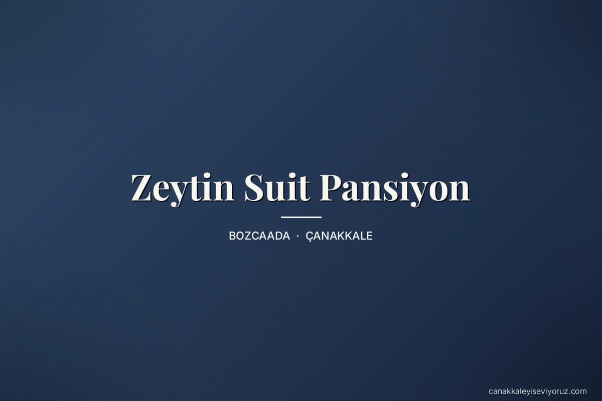 Zeytin Suit Pansiyon