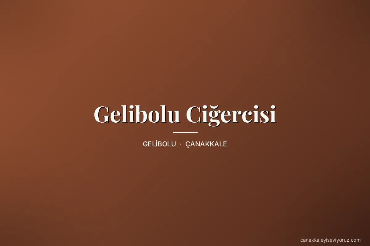Gelibolu Ciğercisi