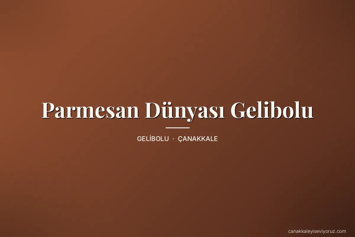 Parmesan Dünyası Gelibolu