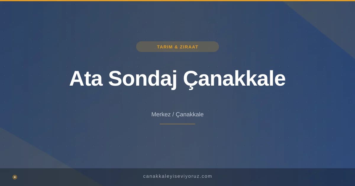Ata Sondaj Çanakkale