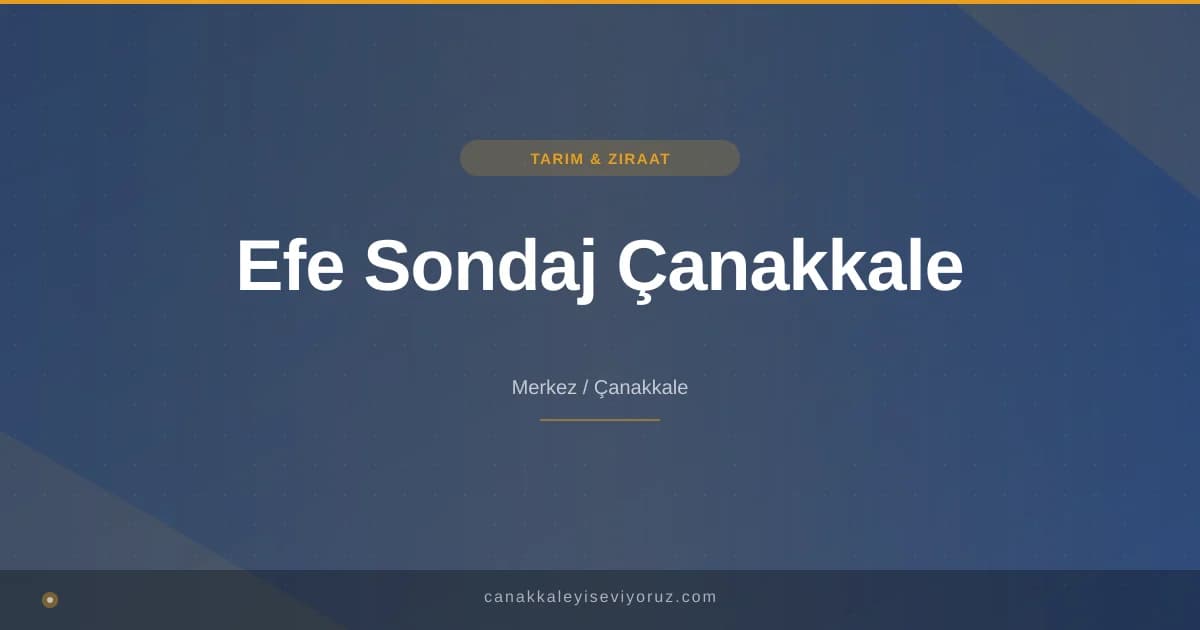 Efe Sondaj Çanakkale