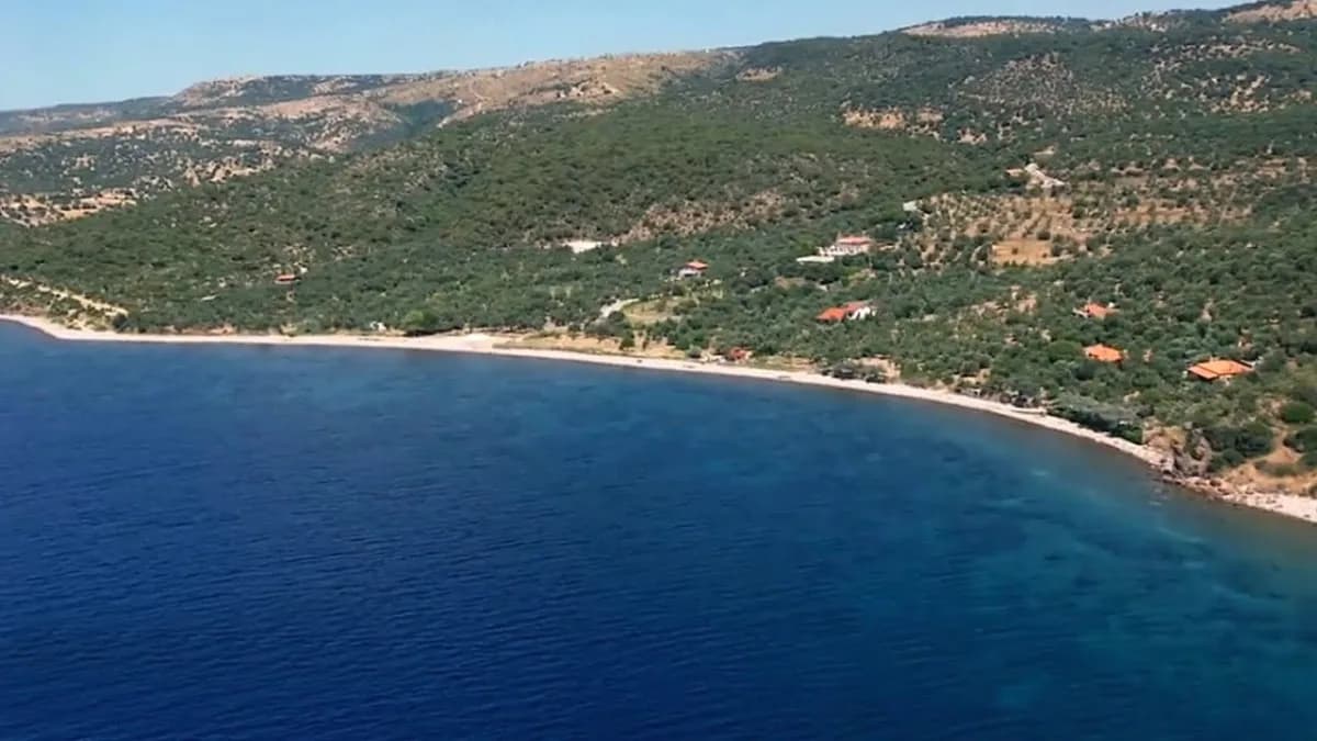 Yeşil Liman