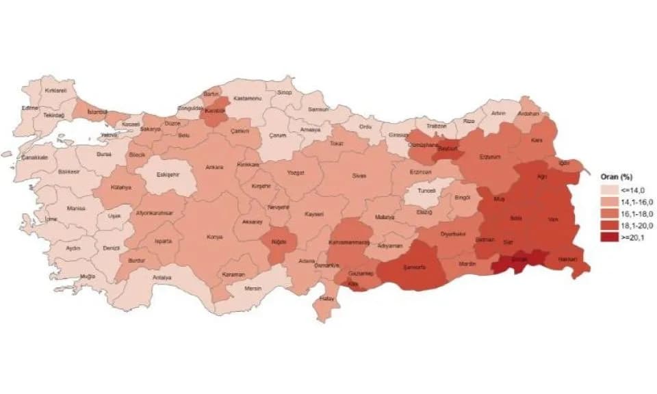 Çanakkale'de Genç Nüfusun Demografik Yapısı ve Eğilimleri (2025)