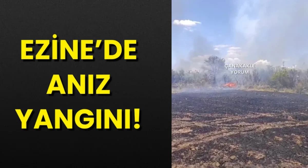 Ezine Bahçeli Köyü'nde Anız Yangını: 20 Dekar Alan Zarar Gördü