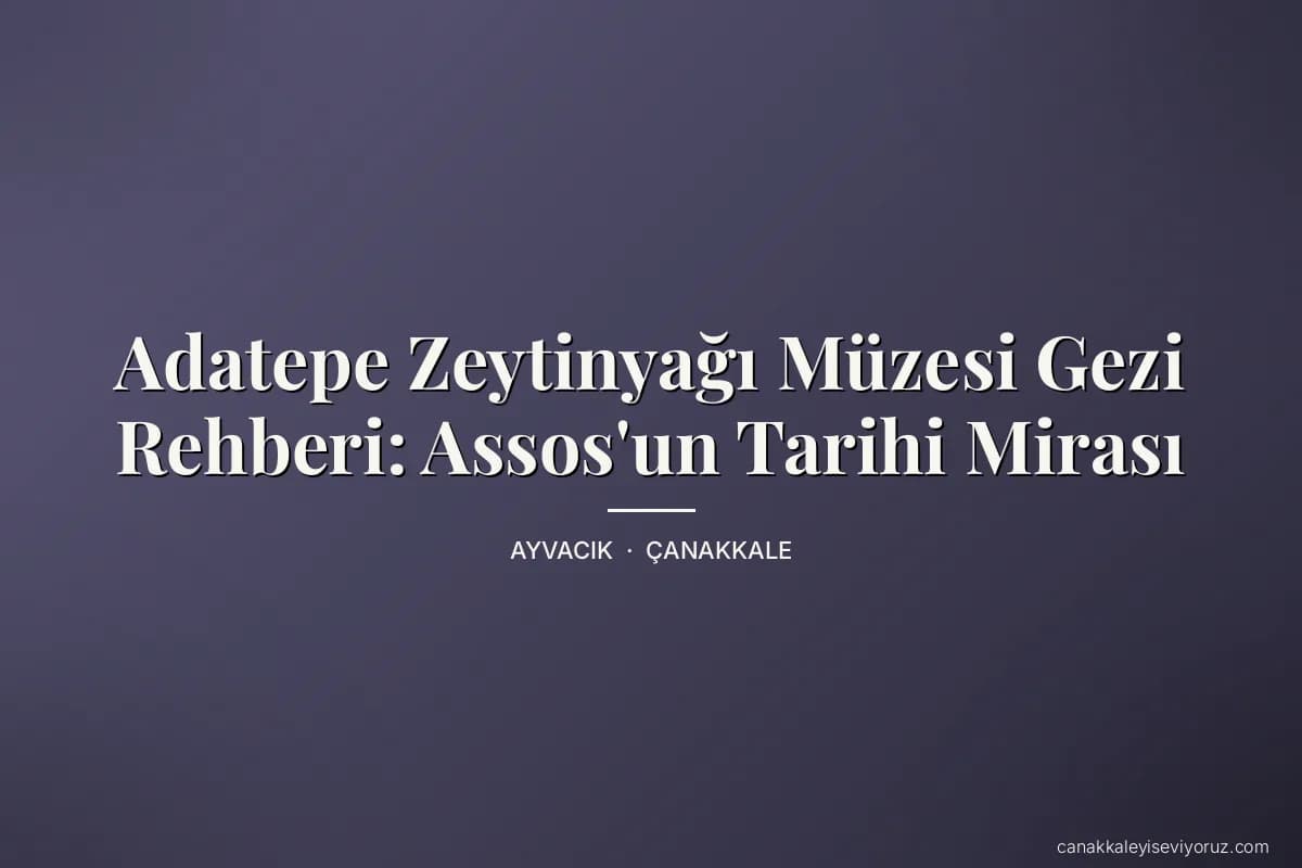 Adatepe Zeytinyağı Müzesi Gezi Rehberi: Assos'un Tarihi Mirası
