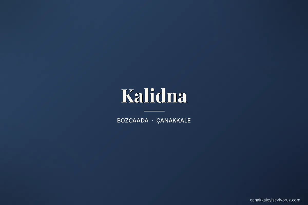 Kalidna