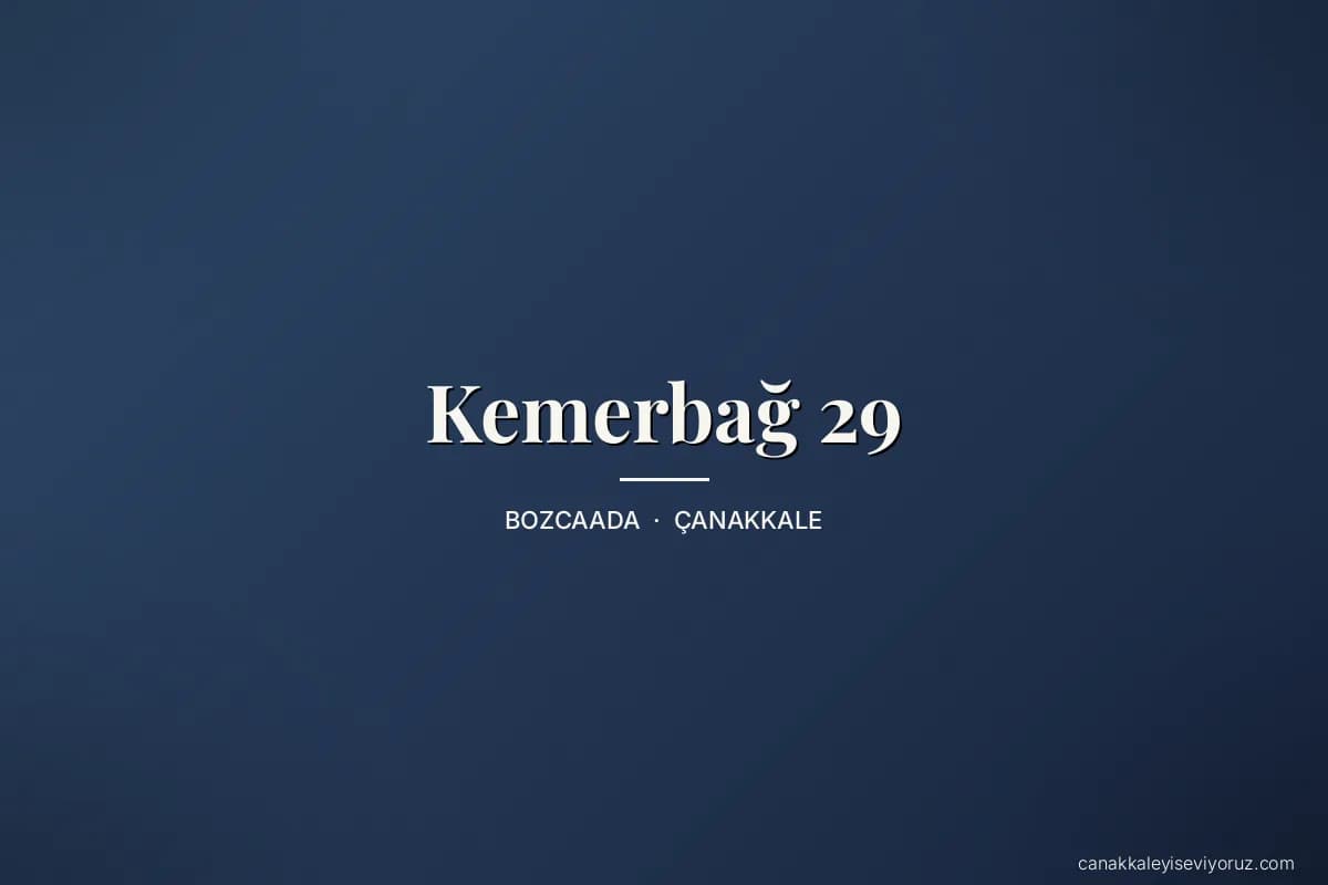Kemerbağ 29