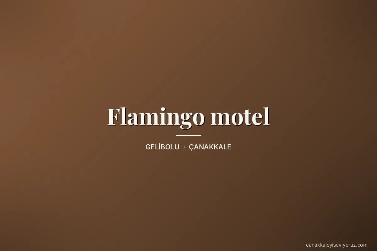 Flamingo motel