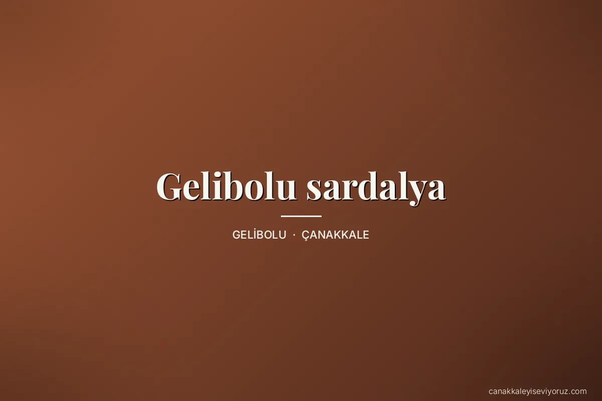 Gelibolu sardalya