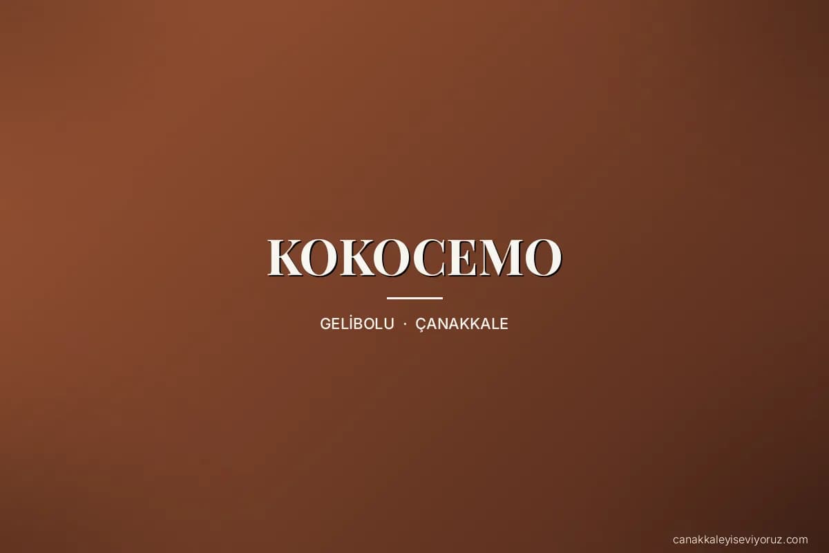 KOKOCEMO