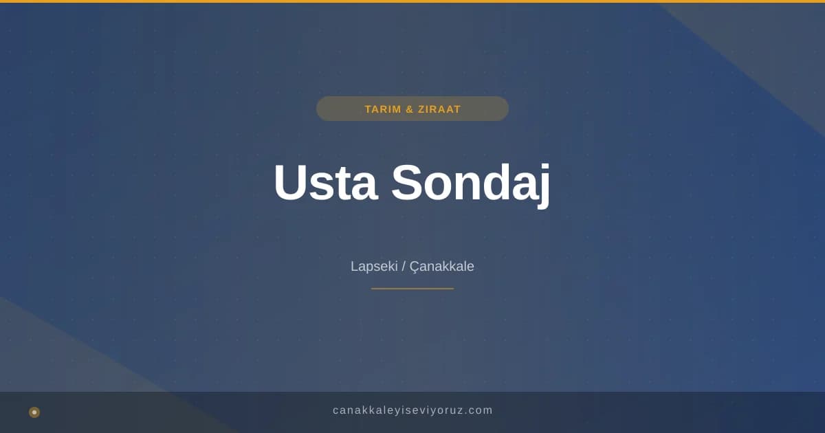 Usta Sondaj