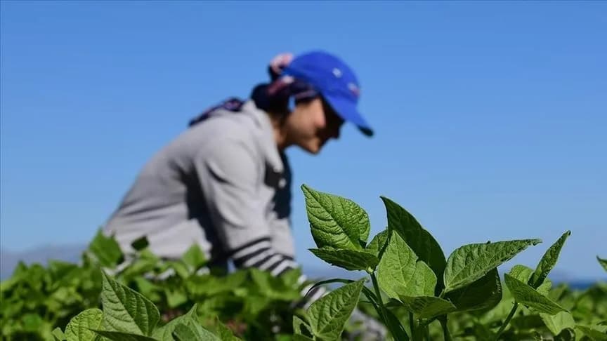 Çanakkale'de Yenilenebilir Enerjiye Kırsal Kalkınma Hibesi Başladı