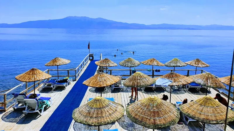 Assos Nazan House