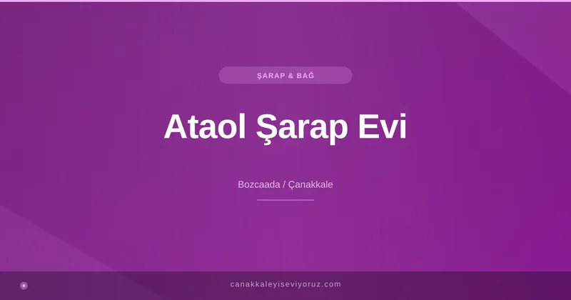 Ataol Şarap Evi