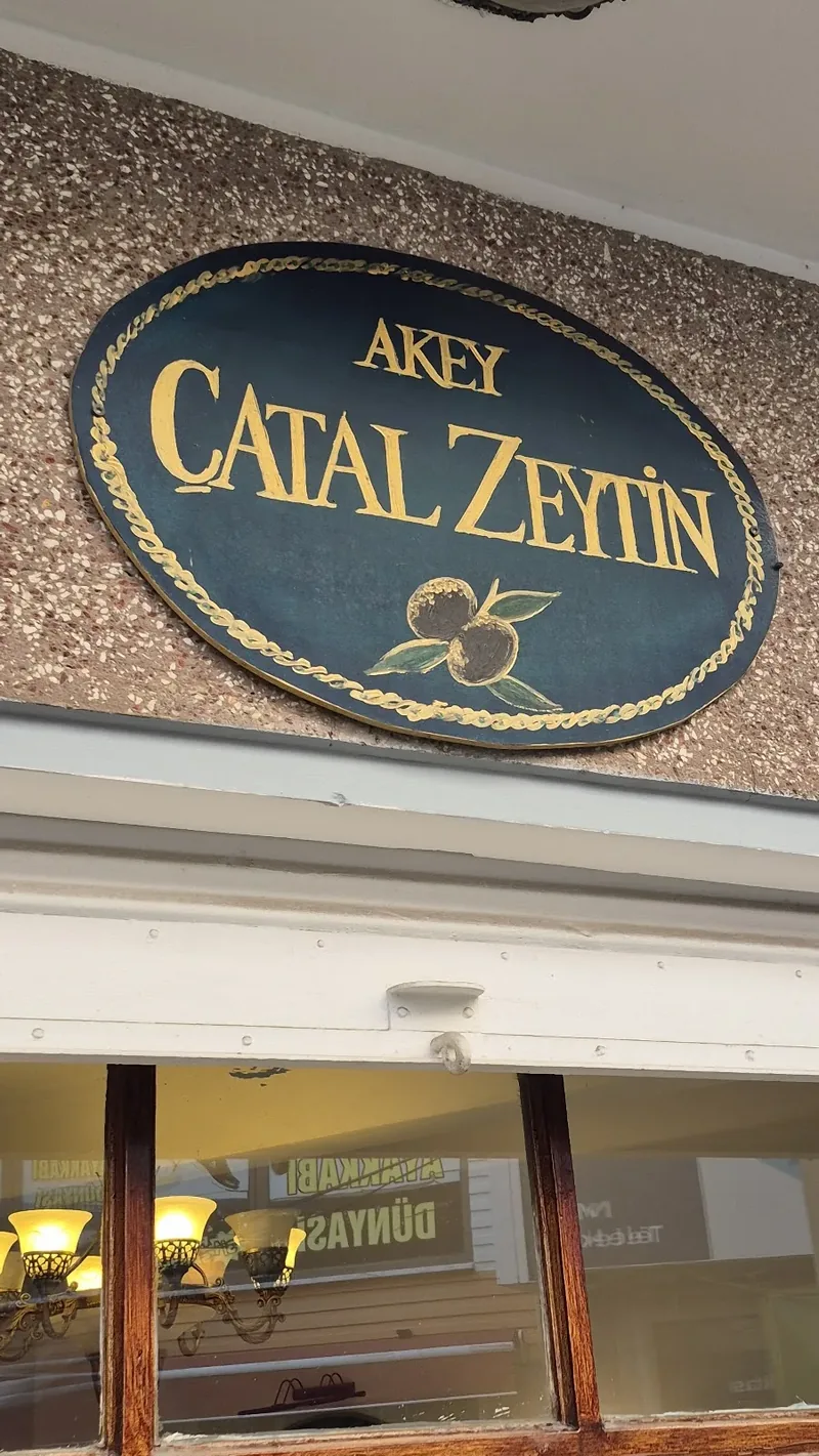 Akey Çatal Zeytin
