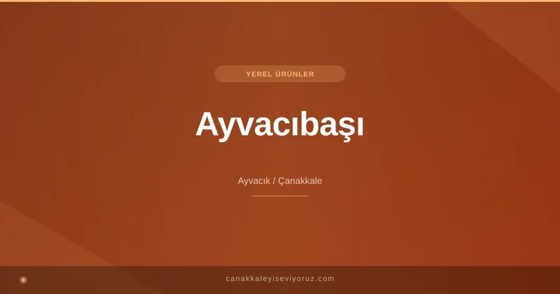 Ayvacıbaşı