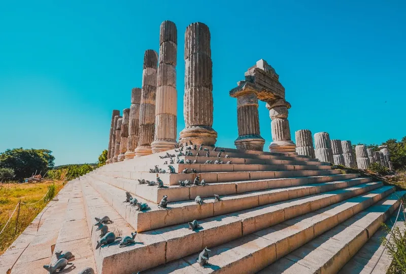 Apollon Smintheion Tapınağı (Gülpınar)