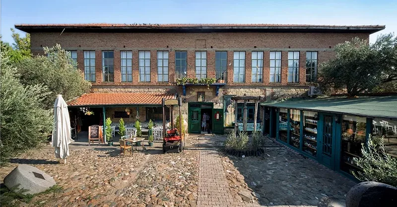 Adatepe Zeytinyağı Müzesi Gezi Rehberi: Assos'un Tarihi Mirası