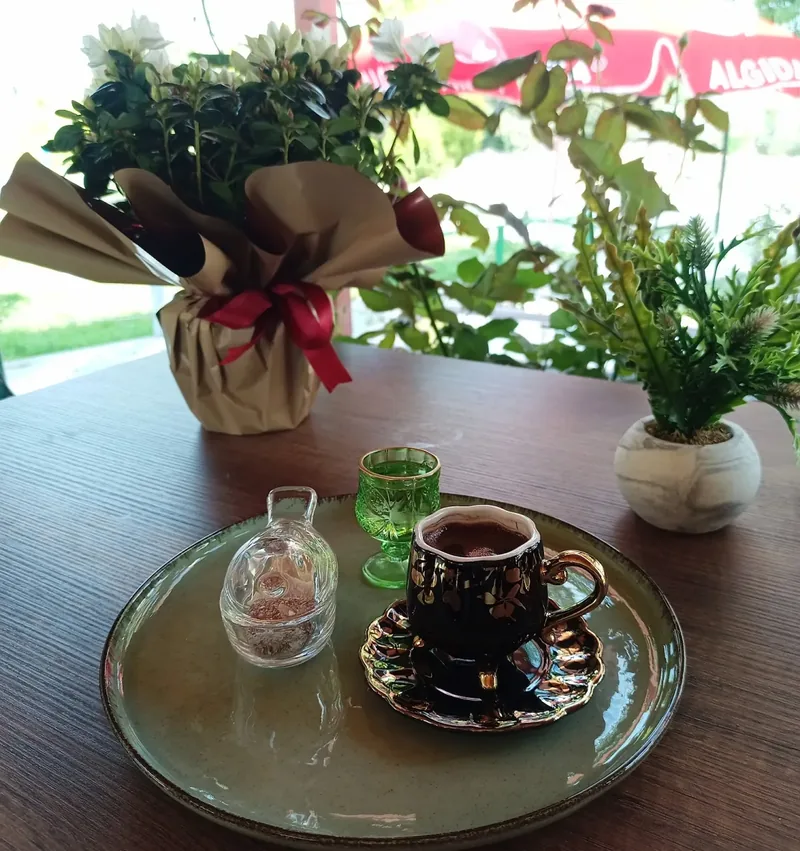 GİZMO CAFE