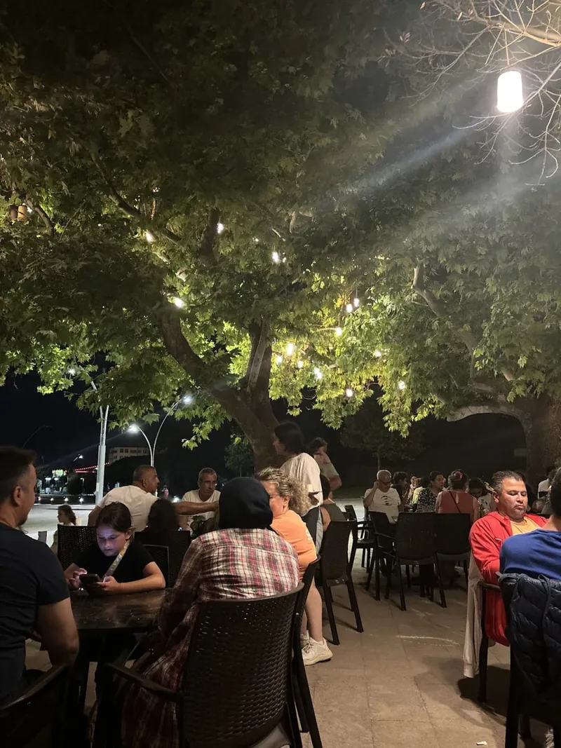 Çınaraltı Aile Çay Bahçesi