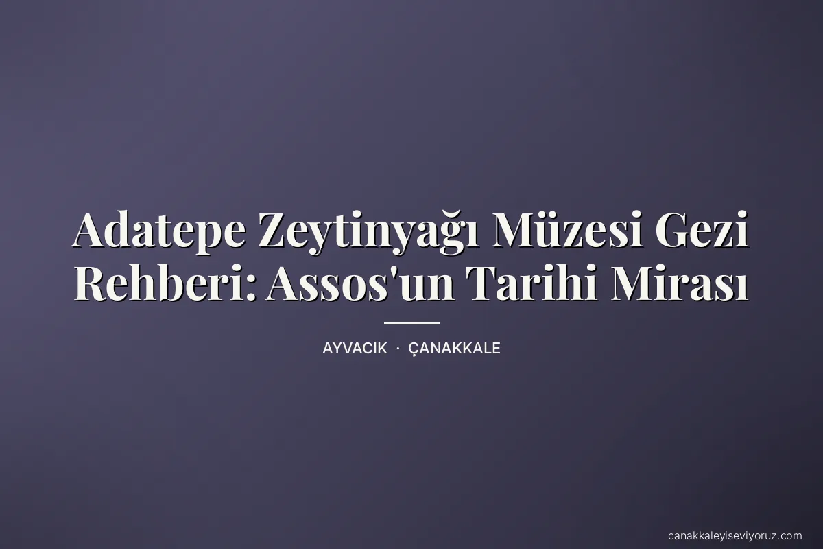 Adatepe Zeytinyağı Müzesi Gezi Rehberi: Assos'un Tarihi Mirası