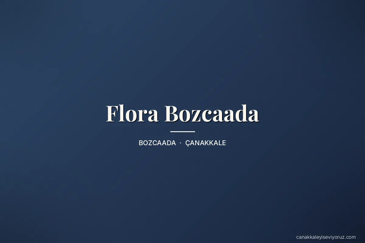 Flora Bozcaada