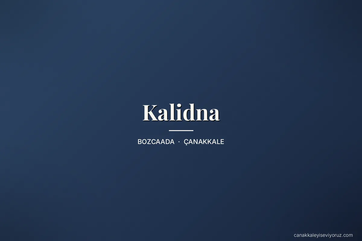 Kalidna