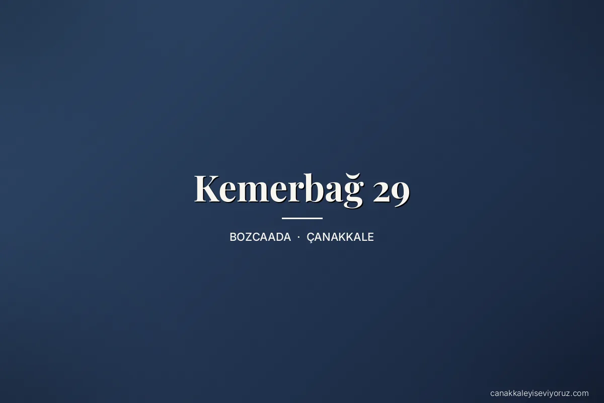 Kemerbağ 29