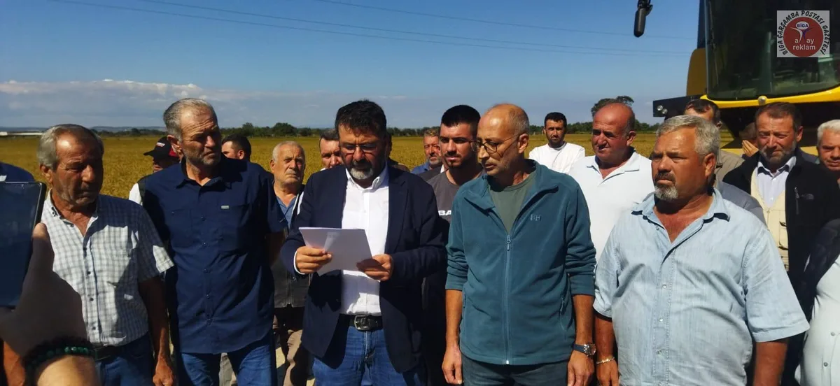Başkan Ergün, “Çeltik Hasadı Başladı, Üretici TMO’dan Fiyat Bekliyor" - Biga Çarşamba Postası Gazetesi