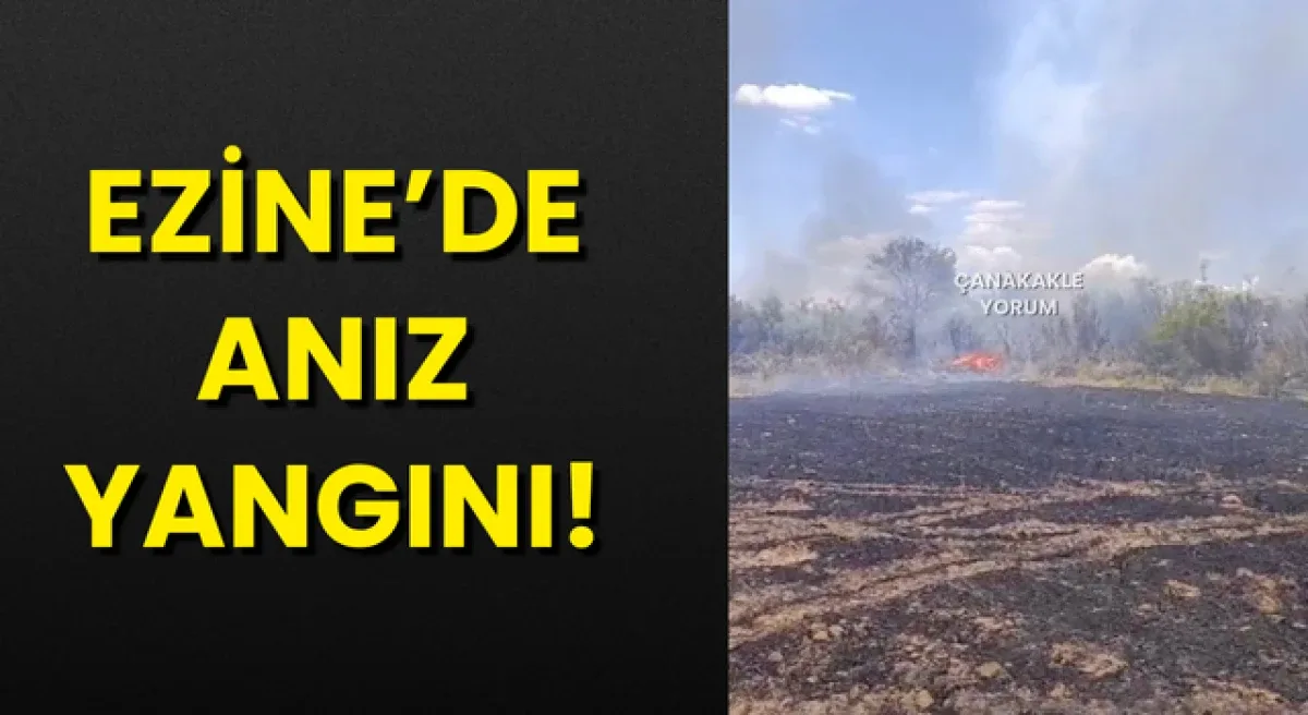 Ezine Bahçeli Köyü'nde Anız Yangını: 20 Dekar Alan Zarar Gördü